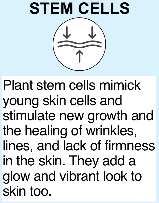 stem_cell_block
